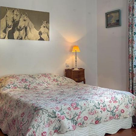Mas De Charme En Pleine Camargue Villa Saint-Gilles  Exterior photo