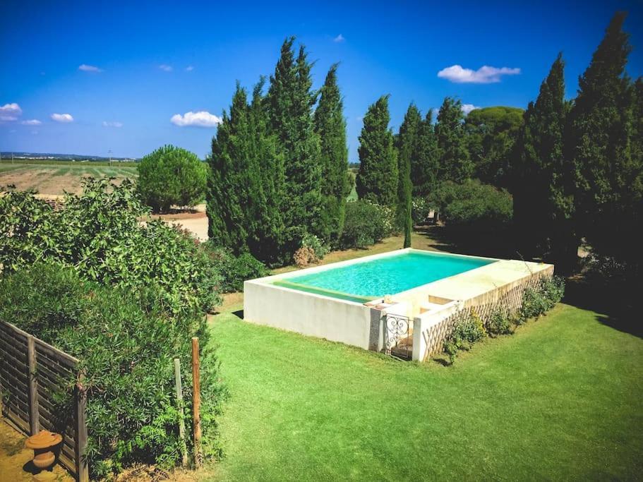 Mas De Charme En Pleine Camargue Villa Saint-Gilles  Exterior photo